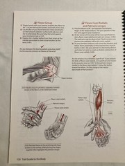 TRAIL GUIDE TO THE BODY SECOND EDITION BY ANDREW BIEL