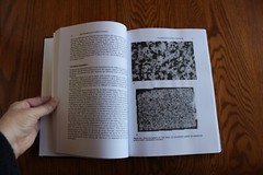 Rock Weathering and Landform Evolution Edited by D.A. Robinson Wiley Pub HB