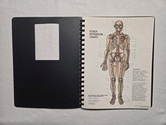 Schick Notebook Charts Human Anatomy Softcover Spiral Bound Book (1987)
