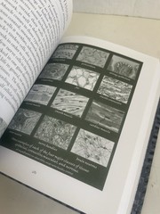 Wooden Bks.: Sciencia: Mathematics, Physics, Chemistry, Biology, and Astronomy