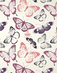 SKETCH BOOK: BUTTERFLY COVER (8.5 X 11) INCHES 110 PAGES, By Sarah Story **NEW**