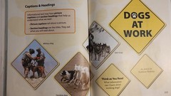 Bob Jones University Press Student Reading Books 2nd (Third Edition)