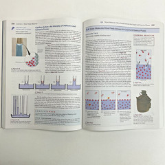 Conceptual Chemistry (5th Edition) – Paperback By Suchocki, John GOOD Pearson