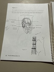 Visceral Manipulation IA Study Guide 1998 Revised Frank Lowen MT Upledger