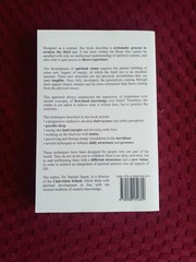 Awakening the Third Eye by Samuel Sagan (2013, Trade Paperback)