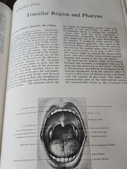 Surgical Anatomy Volume 1+2 Book Anson McVay 1971 GC HC