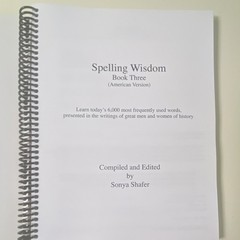 Using Language Well Book 3 Teacher Guide & Answer Key Spiral