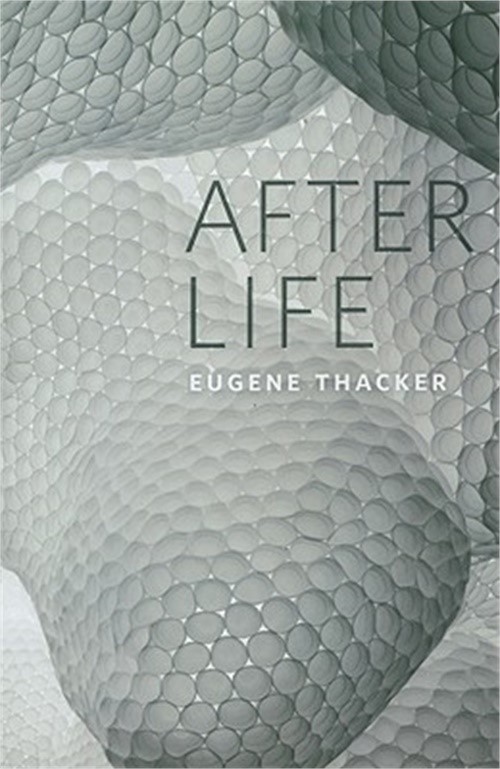 After Life (Paperback or Softback)