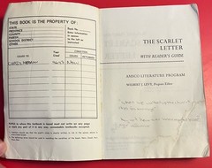 THE SCARLET LETTER With Reader’s Guide ~ Nathaniel Hawthorne ~ 1970 Amsco PB
