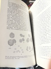 Plant Anatomy Esau, Katherine 1965 Illustrated Botany Textbook Vtg 1960s Rare