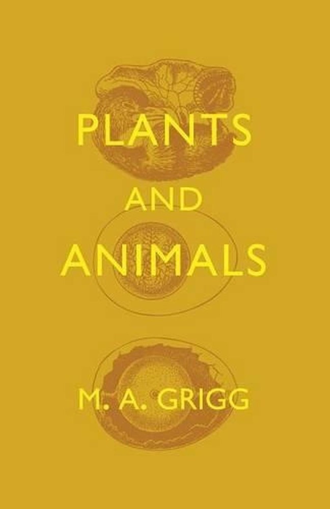 Plants and Animals by M.A. Grigg (English) Paperback Book