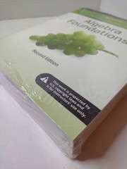 Algebra Foundations 2nd Edition W/Answers Instructor’s Review Copy