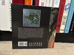 The Painters Secret Geometry: A Study of Composition in Art – Hardcover – book