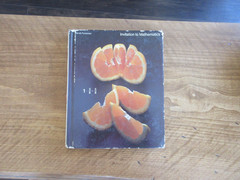 Invitation to Mathematics Grade 5- Scott Foresman Vintage