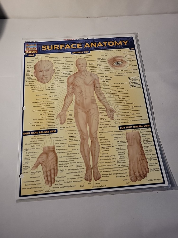 Surface Anatomy by Vincent Perez (2003, Book, Other)