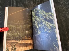 Cannabis CLOG Issue 17 2019 Book, Canada, 8.5”x5.5”, 119 Pages Illustrated PO-LN