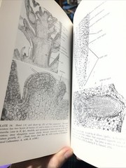 Plant Anatomy Esau, Katherine 1965 Illustrated Botany Textbook Vtg 1960s Rare