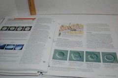Campbell Biology 10th Edition Binder-ready Looseleaf Textbook Pearson A La Carte