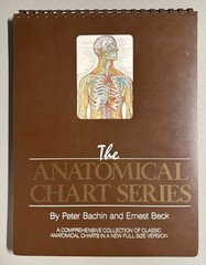 THE ANATOMICAL CHART SERIES: Full Size Desktop Easel by Bachin & Beck (1985) VG