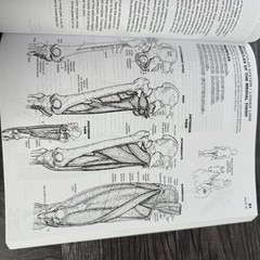 The Anatomy Coloring Book 4th Edition Kapit Elson Pearson 2014 Paperback Unused