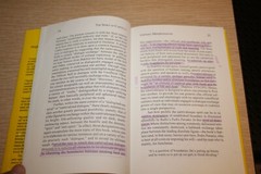 The Spirit of Carnival : Magical Realism and the Grotesque by David K. Danow…