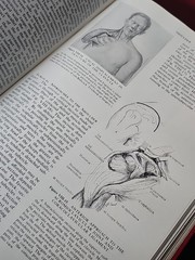 Surgical Anatomy Volume 1+2 Book Anson McVay 1971 GC HC