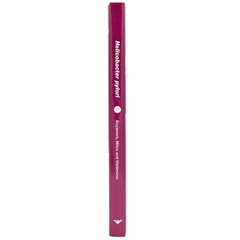 Helicobacter pylori — Caister Academic Press (Hardback)