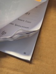 Systems Thinking for Curious Managers : With 40 New Management F-Law by Herbert