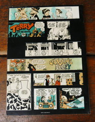 The Smithsonian Collection of Newspaper Comics Trade Paperback 1977 Vintage