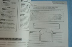 Scott Foresman Reading Street, gr. 5/5th NEW Workbook! 2009