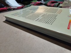 Fundamentals of Advanced Accounting by Joe Ben Hoyle, Timothy Doupnik and Thomas