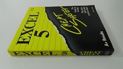 Excel 5 Cheat Sheet 1994 Shelley O’Hara Alpha Books 368 Page Book #011