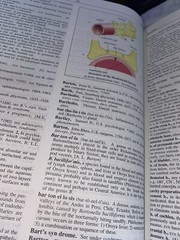 Medical Dictionary PDR Information Terminology 1st Reference