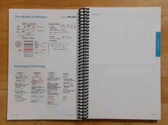 OnlineMedEd Basic Sciences Whiteboards: Organ Systems Spiral Paperback