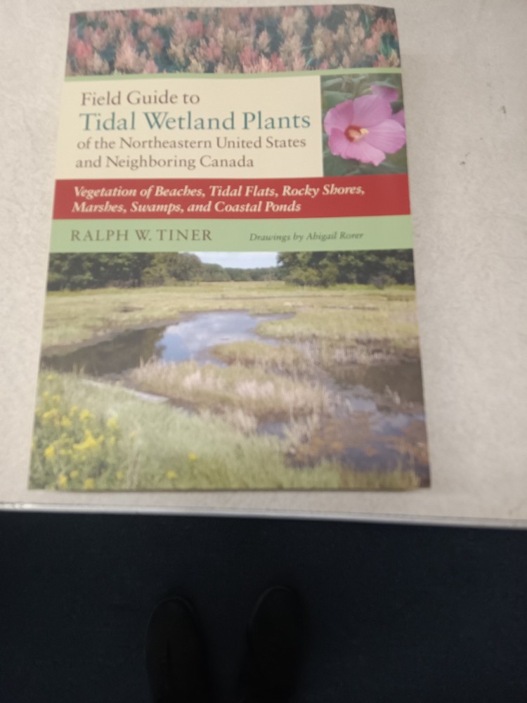 FIELD GUIDE TO TIDAL WETLAND PLANTS OF THE NORTHEASTERN By Ralph W. Tiner NEW