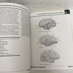 Netter Basic Science Ser.: Netter’s Neuroscience Coloring Book by Mary Summo…