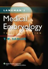 Langman’s Medical Embryology – Paperback By Sadler PhD, Thomas W. – GOOD