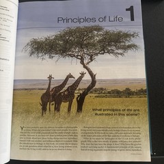 Principles of Life by Dave Hall, Richard W. Hill, Mary V. Price, Marta Laskowski