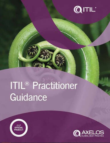 ITIL Practitioner Guidance – Paperback By The Stationery Office – GOOD