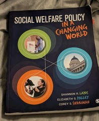 Social Welfare Policy in a Changing World by Lane, Shannon R., Palley, Elizabet
