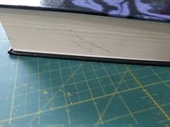 Principles of Neural Science, Eric R. Kandel,James H. Schwartz,Thomas M. Jessell