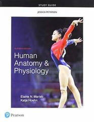 Study Guide for Human Anatomy & Physiology – Paperback – GOOD
