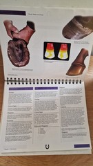Illustrated Atlas Of Clinical Equine Anatomy And Common Disorders Of The Horse