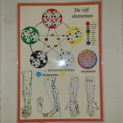 THE FIVE ELEMENTS~Dutch~ Laminated Poster “DE VIJF ELEMENTEN” NEW