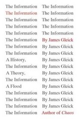 The Information: A History, a Theory, a Flood – Hardcover – GOOD