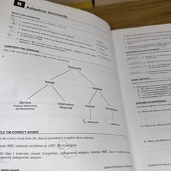 Study Guide for Pathophysiology – Paperback, by McCance MS PhD Kathryn READ