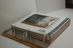 Campbell Biology 10th Edition Binder-ready Looseleaf Textbook Pearson A La Carte