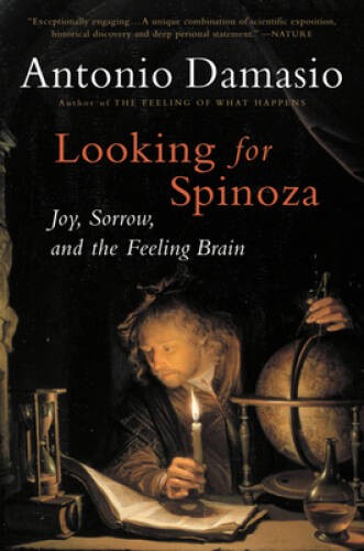 Looking for Spinoza: Joy, Sorrow, and the Feeling Brain – Paperback – VERY GOOD