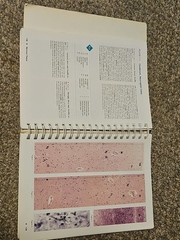 Color Atlas of Histology by Leslie P. Gartner and James Hiatt