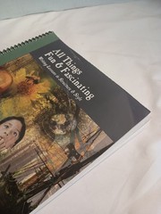 All Things Fun and Fascinating by Lori Verstegen (Spiral)